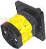 Immagine di INTERRUTTORE TRIPOLARE RETROQ. 16A FIN. P016 CON MOSTRINA