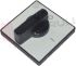 Immagine di MOSTRINA E MANOPOLA INTERRUTTORE 64X64 001/0007