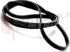 Immagine di CINGHIA RIGHI 4 MEDIO 1244MM. EPJ 1244J4