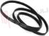 Immagine di CINGHIA RIGHI 4 MEDIO 1244MM. 1244 PJE J4 EL
