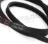 Immagine di CINGHIA RIGHI 4 MEDIO 1244MM. 1244 PJE J4 EL