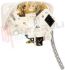 Immagine di FRONTALE STIRELLA CON SCHEDA + ELETTROV. CS-00135799 ORIG.