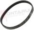 Immagine di CINGHIA RIGHI 4 STRETTI 285 PHE