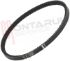 Immagine di CINGHIA DENTATA TRAPEZOIDALE 8X400MM T15 3/4 AFFETTATRICE