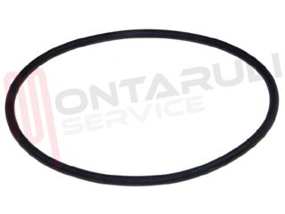 Immagine di GUARNIZIONE POZZETTO O-RING 1119186003 ORIGINALE
