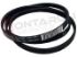 Immagine di CINGHIA RIGHI 4 LARGHI CM.56 1207 4PJE 481235818204