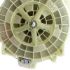Image of VASCA 62LT 1400-1600 B340 DIR.INJ+DIVERT ORIGINALE