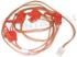 Image of ASSIEME 4 MICROINTERRUTORI SABAF C00264307 ORIGINALE