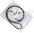 Immagine di CINGHIA 5PJE 1246 BSH 9000450870 ORIGINALE