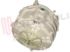 Immagine di VASCA PL 46L+PUL D280 H=17+RESISTENZA ORIGINALE